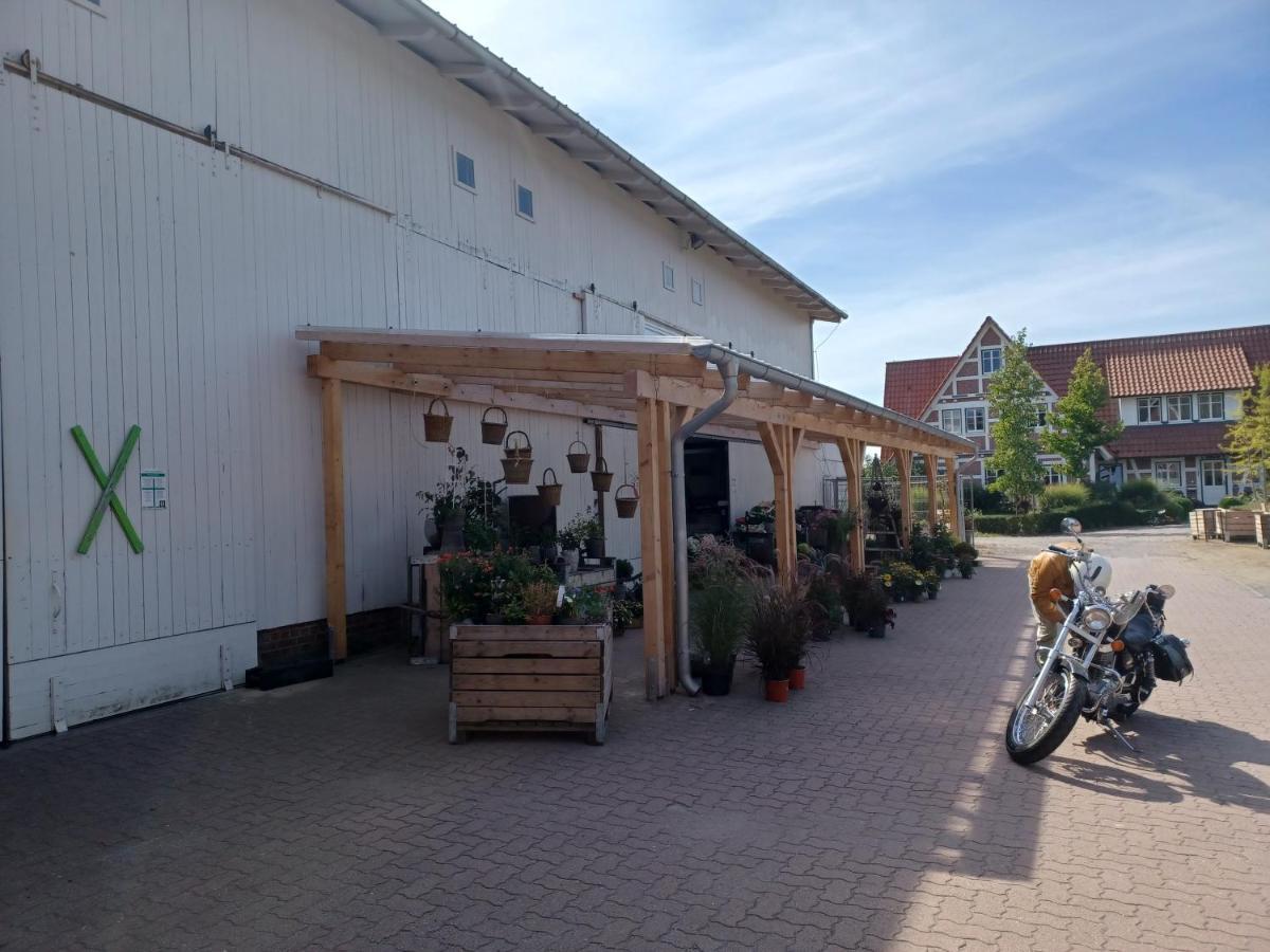 Ferienwohnung Am Elbstrom 施塔德 外观 照片